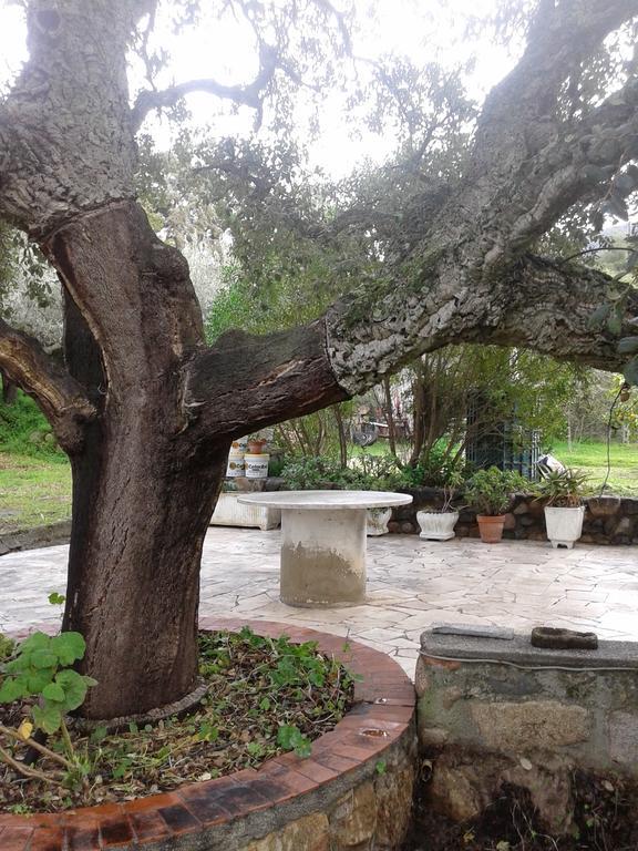 B&B La Quercia San Gregorio  Extérieur photo