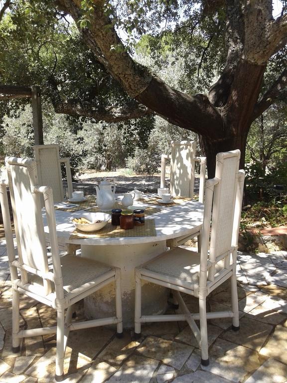 B&B La Quercia San Gregorio  Extérieur photo