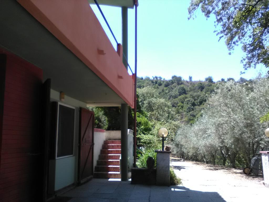 B&B La Quercia San Gregorio  Extérieur photo